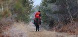 chasse à courre Equipage de vènerie Vouzeron