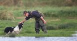 complicité chasseur et son chien chasse au gibier d'eau