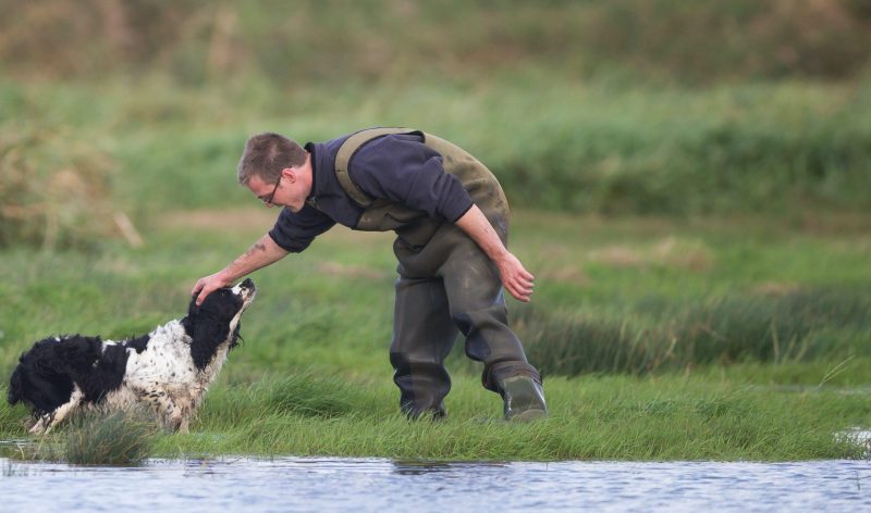 complicité chasseur et son chien chasse au gibier d'eau