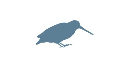 Pictogramme logo oiseau gibier d'eau