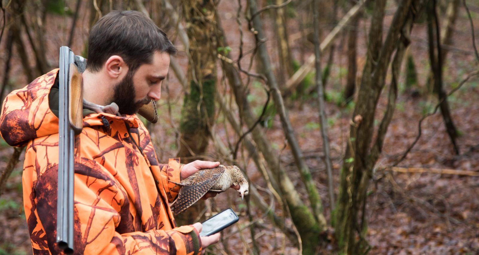 Un chasseur utilise l'application mobile ChassAdapt pour renseigner un prélèvement