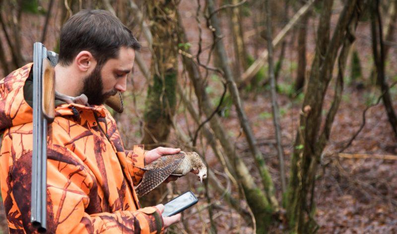 Un chasseur utilise l'application mobile ChassAdapt pour renseigner un prélèvement