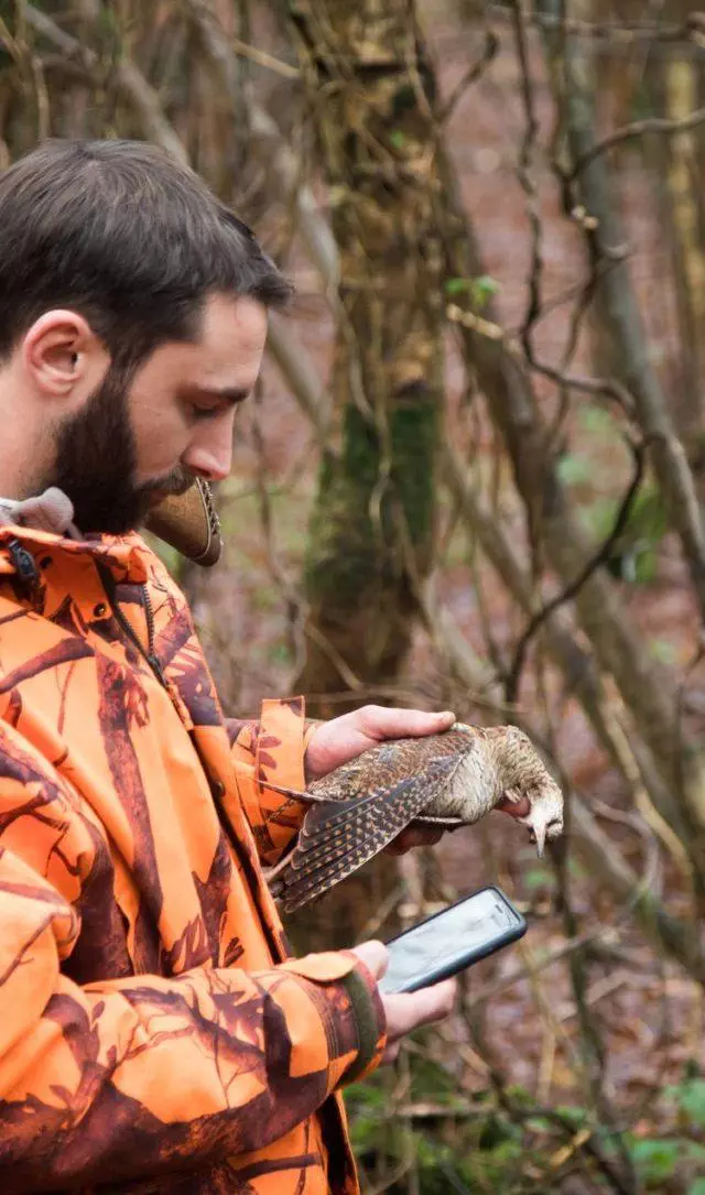 Un chasseur utilise l'application mobile ChassAdapt pour renseigner un prélèvement