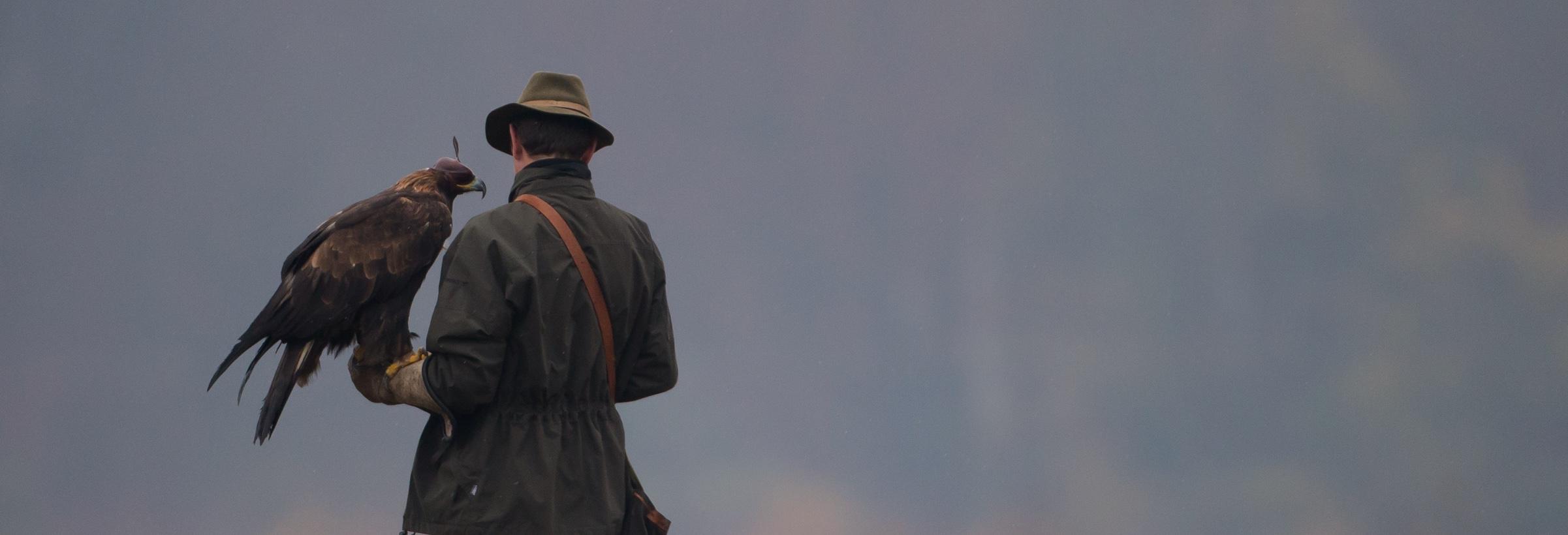 Un chasseur avec son rapace pour la chasse au vol