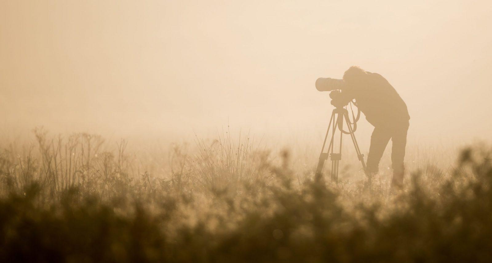 photographe nature chasse