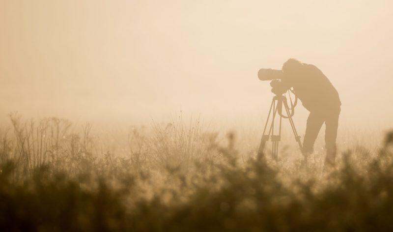 photographe nature chasse