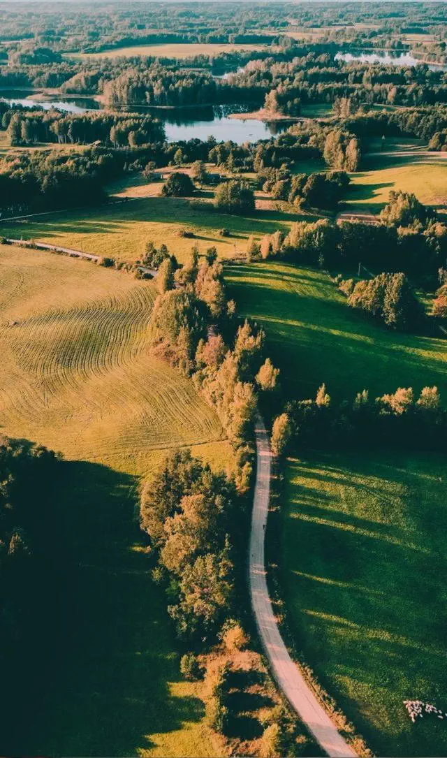Paysage nature