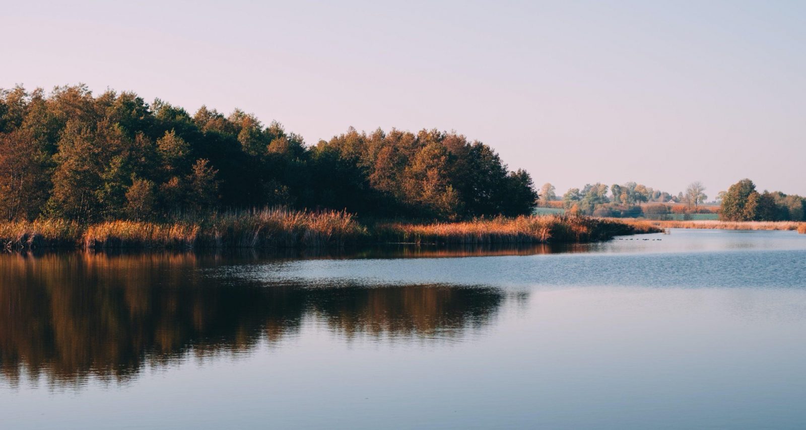 paysage lac étang