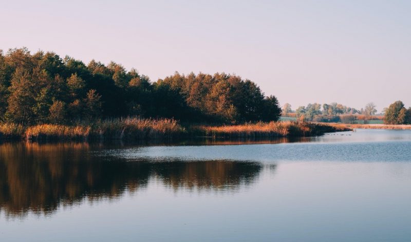 paysage lac étang