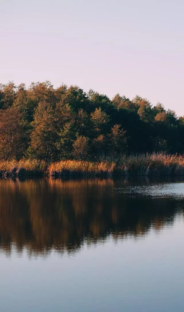 paysage lac étang