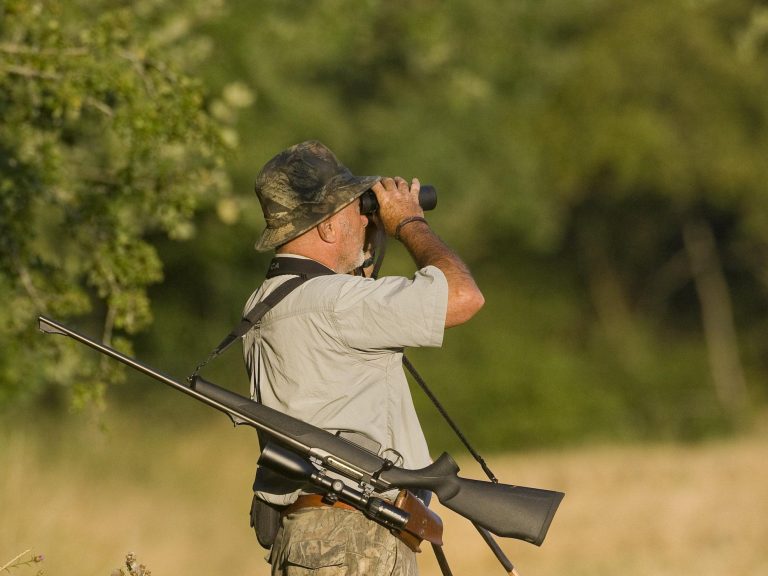 Consignes de sécurité chasse - FNC