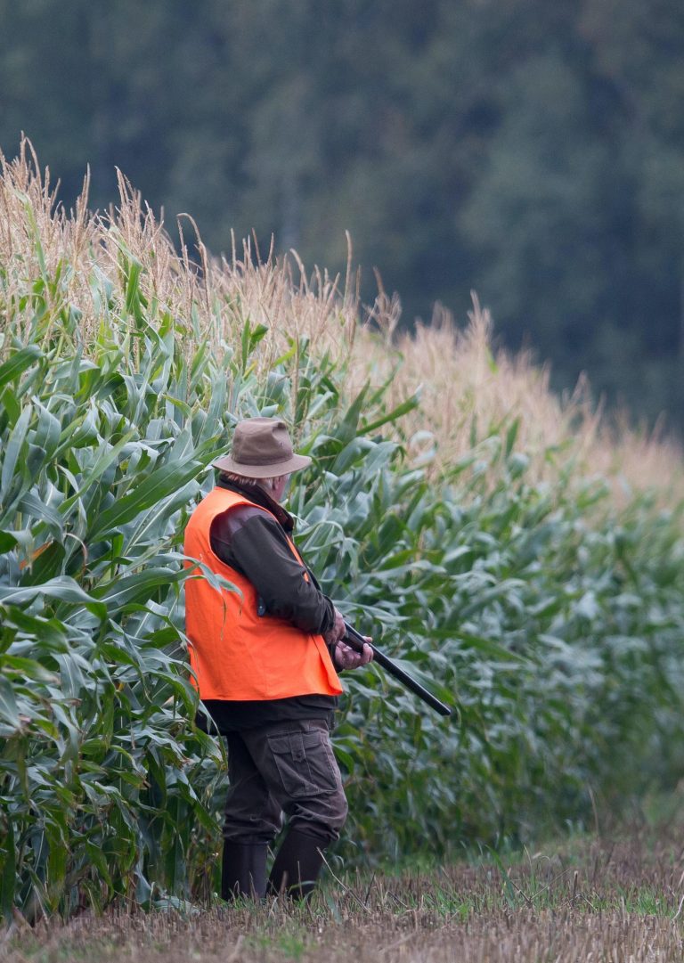 chasseur portant un gilet fluo