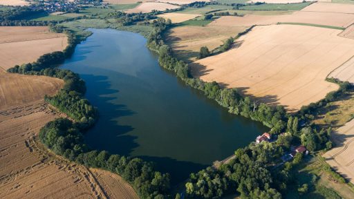 Etang et champs paysage rural chasse