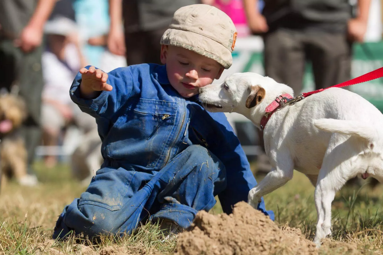 éducation à la nature enfant et chien de chasse