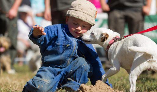 éducation à la nature enfant et chien de chasse