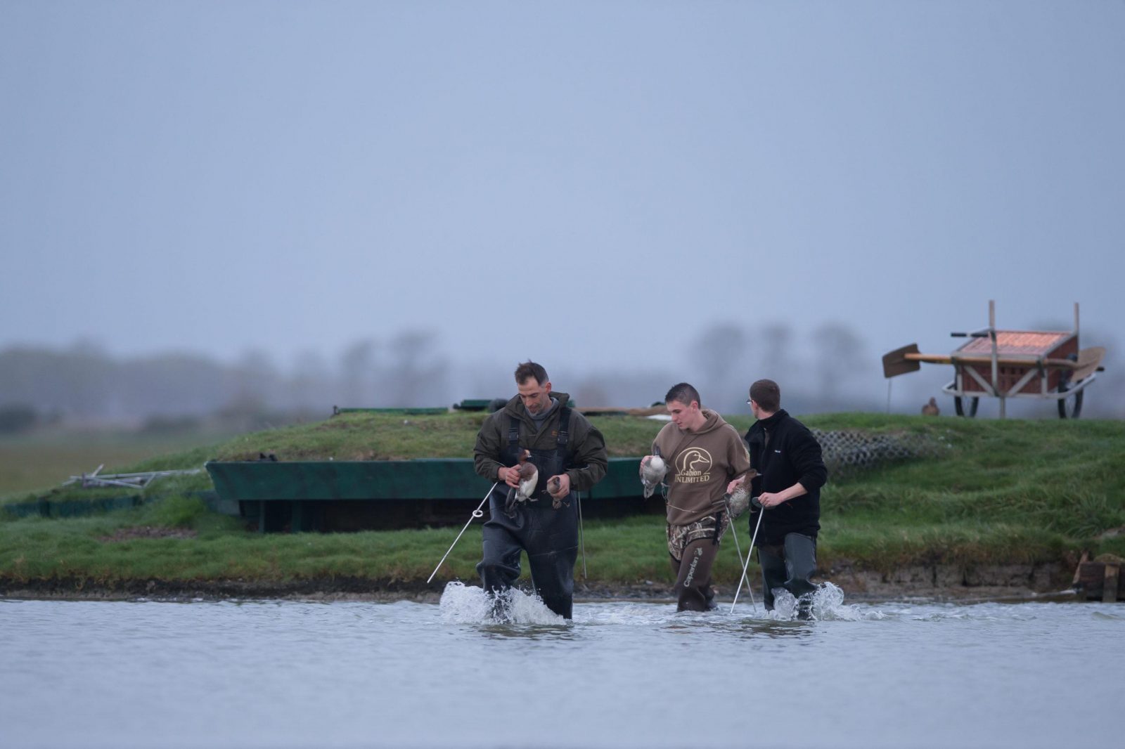 Chasse à l'arc - Fédération départementale des chasseurs de la Marne