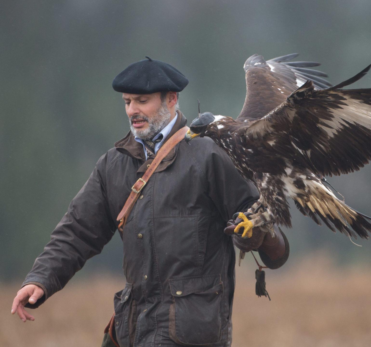 Chasseur chasse au vol avec son oiseau