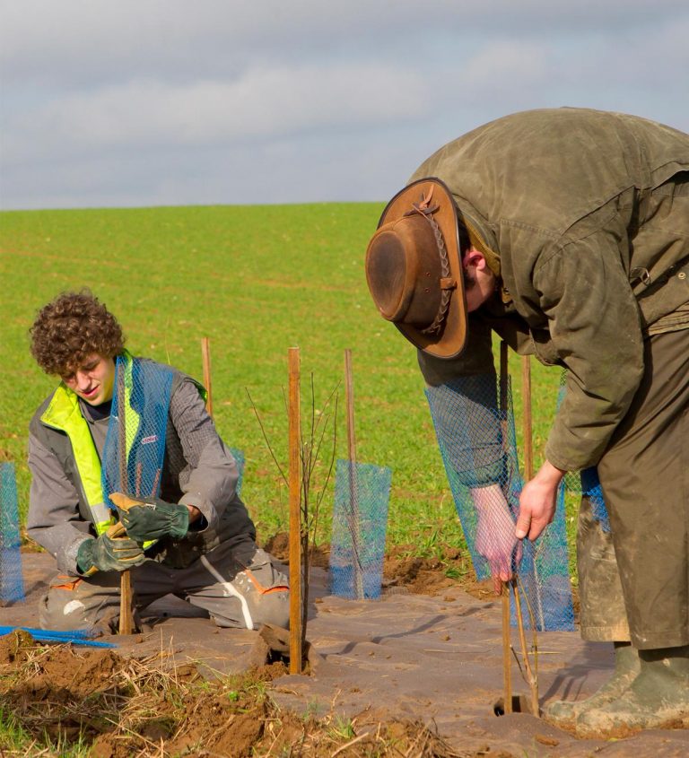 Un homme et un enfant plantent des arbres