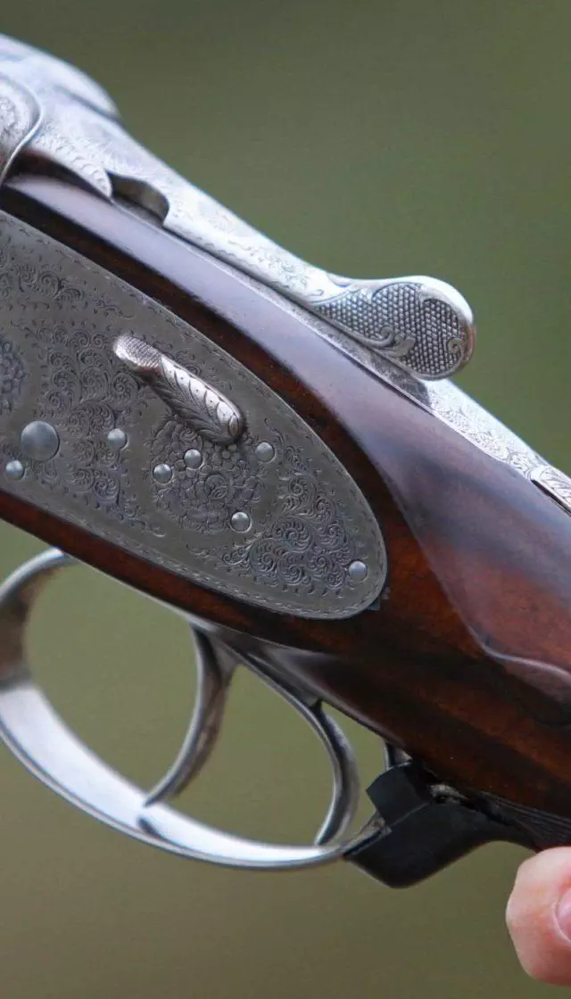 Armes. Fusil semi-automatique: comment ça fonctionne ?