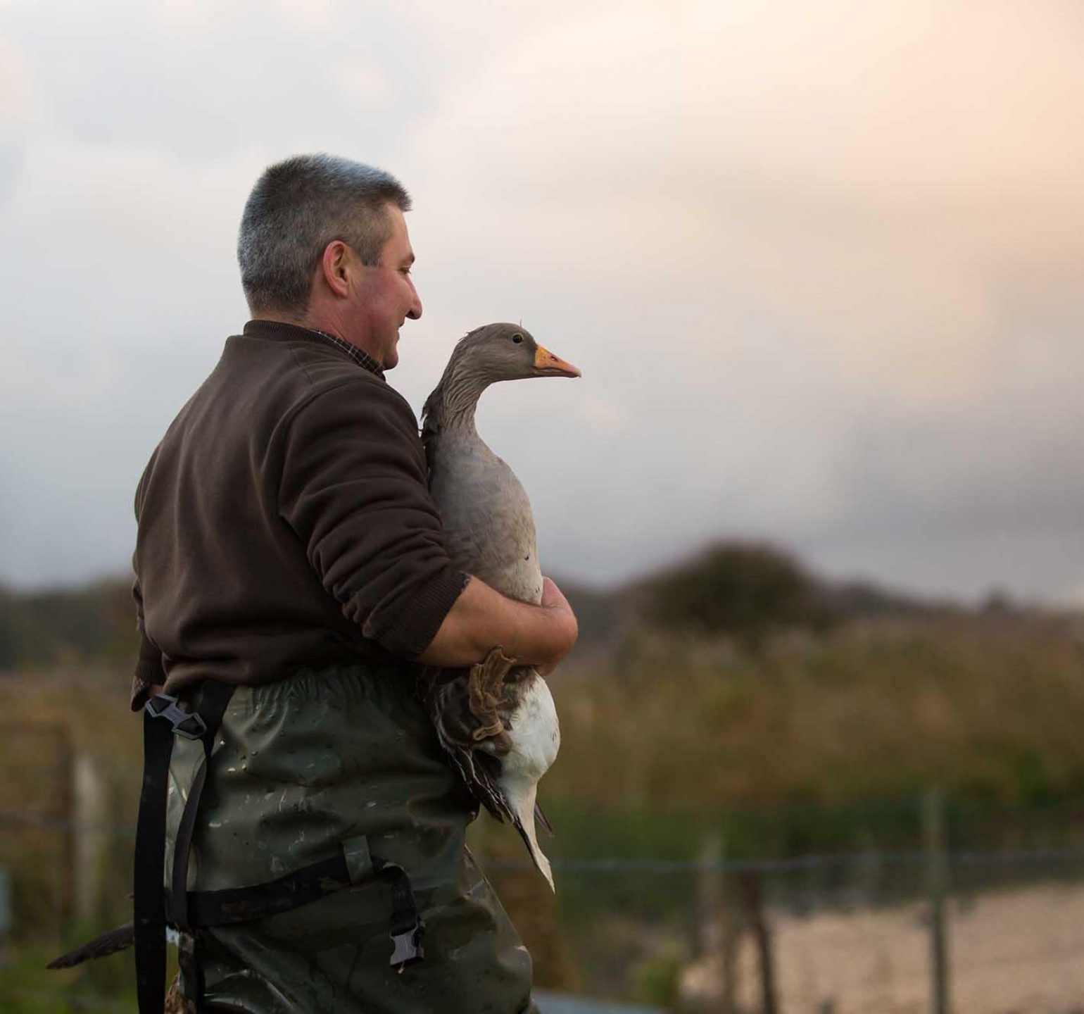 Chasseur gibier d'eau avec une oie cendrée