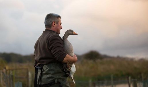 Chasseur gibier d'eau avec une oie cendrée