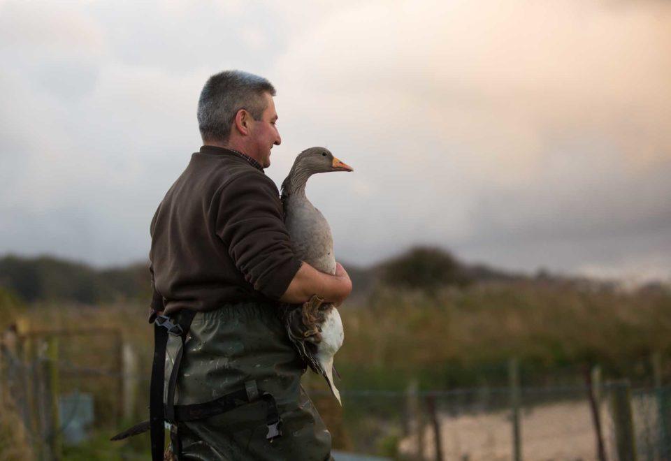 Chasseur gibier d'eau avec une oie cendrée