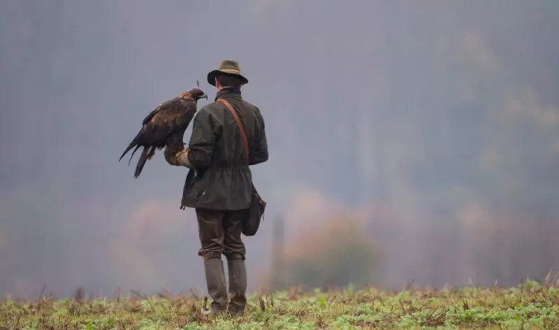 Un chasseur au vol avec son rapace