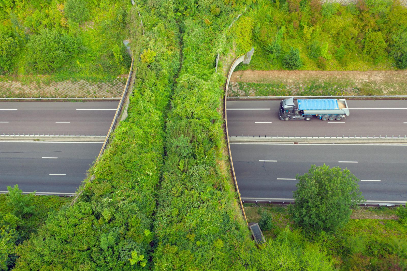 biocorridor ou corridor vert sur autoroute