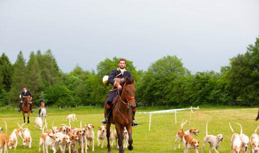 piqueur de vénerie chasse à courre