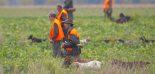 Sécurité à la chasse : port d’un gilet fluorescent