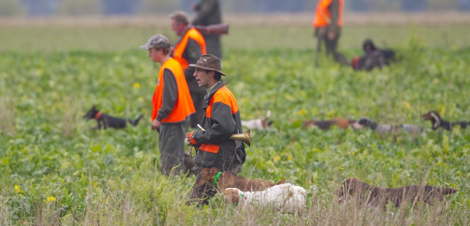 Sécurité à la chasse : port d’un gilet fluorescent