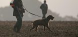 chasseur petit gibier et son chien en plaine