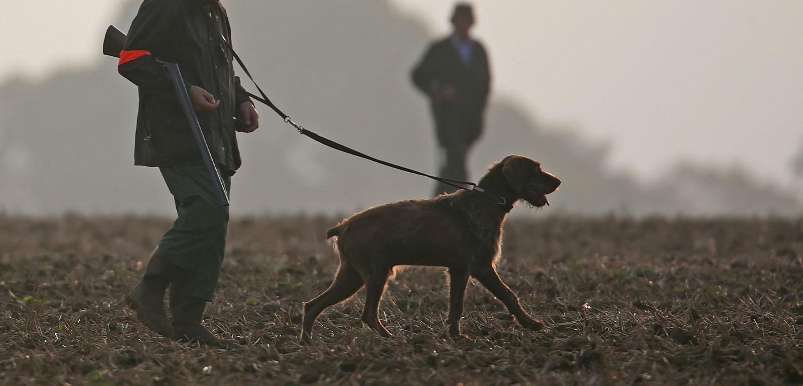 chasseur petit gibier et son chien en plaine