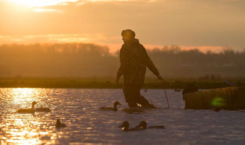 Un chasseur pose des appelants d'oiseaux dans un marais