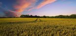 photo champs blé PAC Europe