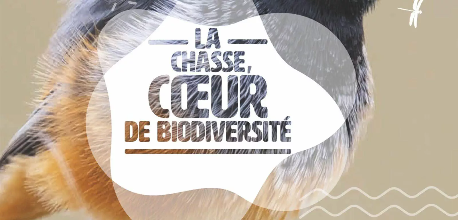 manifeste chasse biodiversité