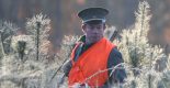 métier de garde chasse en forêt