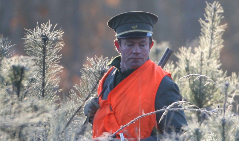 métier de garde chasse en forêt