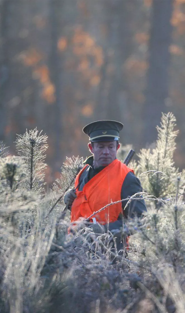 métier de garde chasse en forêt