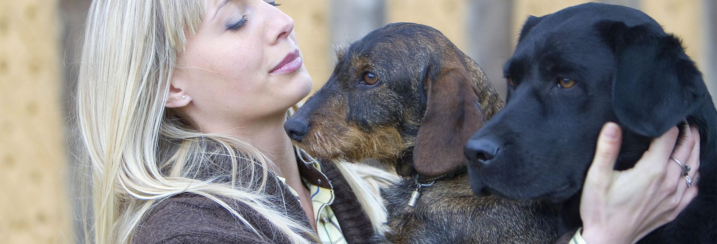 jeune femme et ses chiens éleveur de chiens de chasse