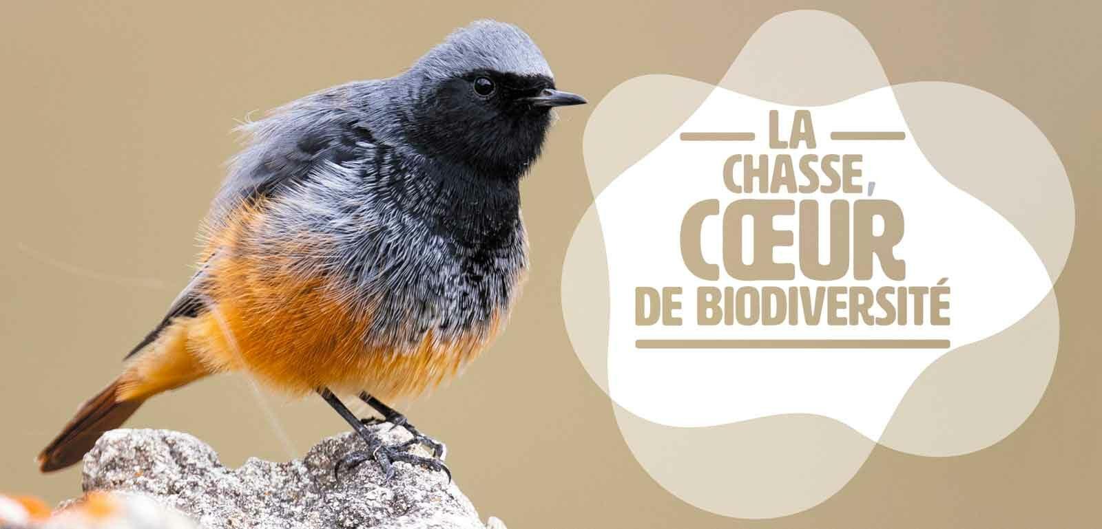 manifeste chasse biodiversité