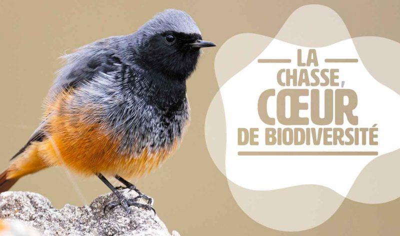 manifeste chasse biodiversité