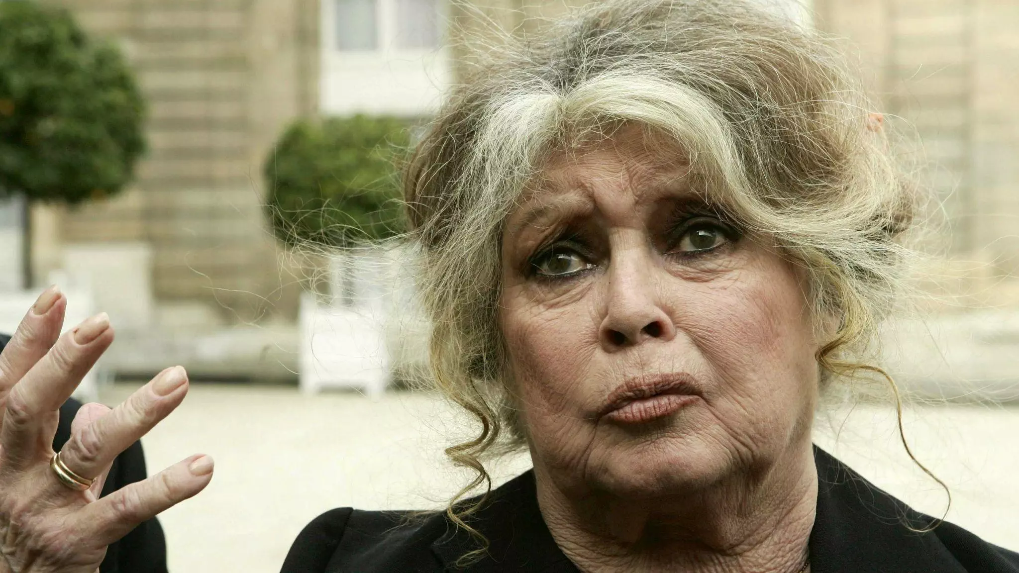 Est Ce Que Brigitte Bardot Est Morte Brigitte Bardot condamnée pour injures publiques envers Willy Schraen