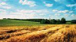 campagne et territoire ruraux