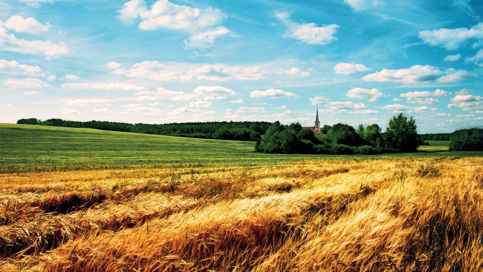 campagne et territoire ruraux
