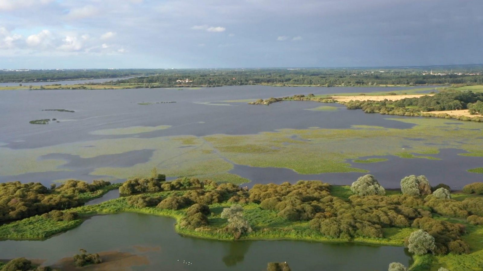 Assises Biodiversité 2022