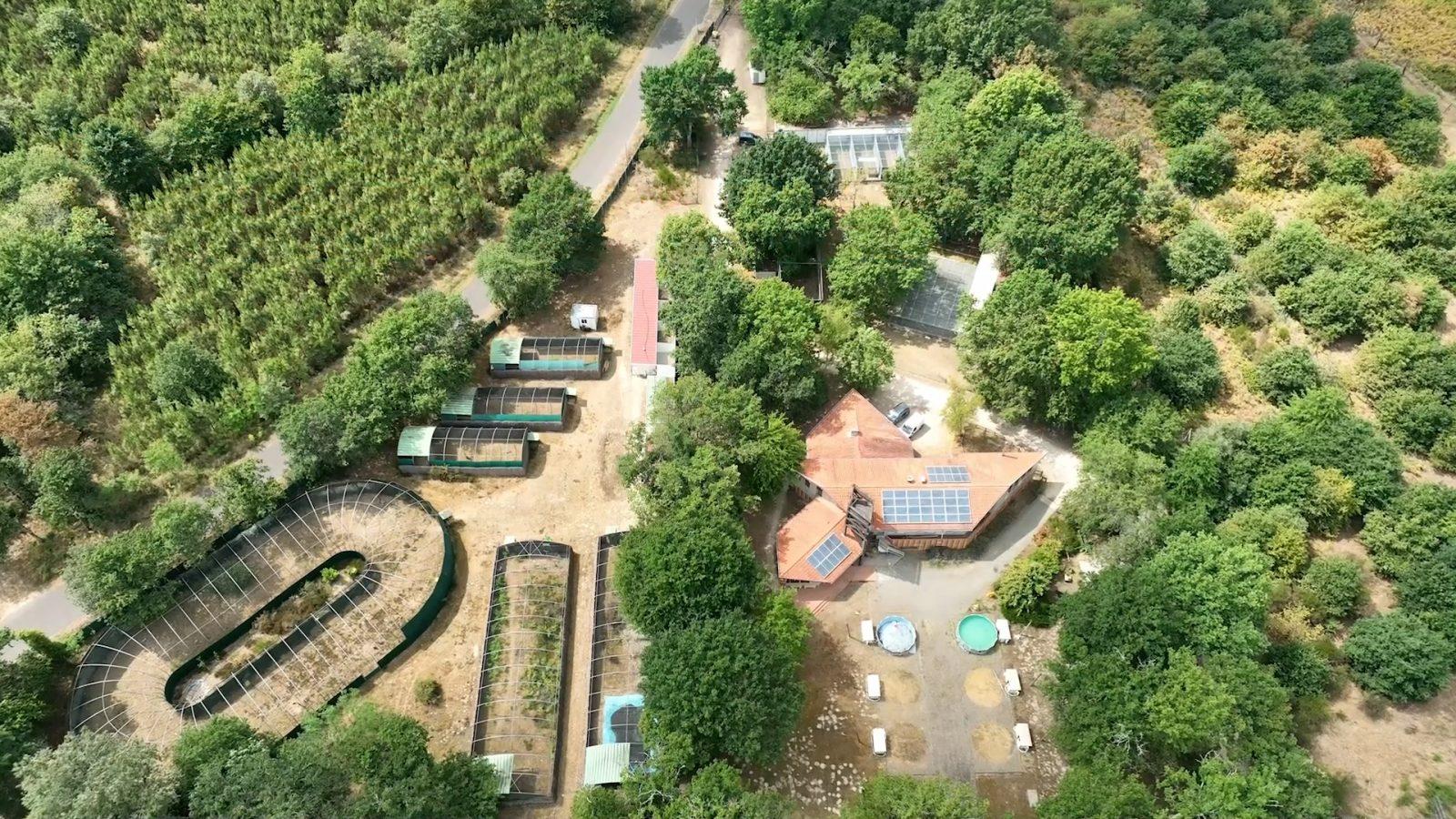 Centre de soins de la faune sauvage PALOUME