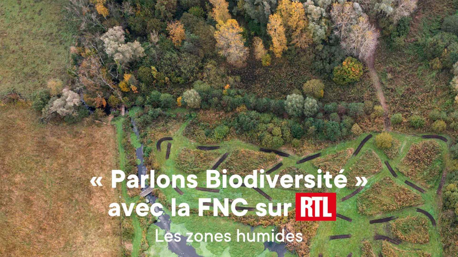 Entretien des zones humides