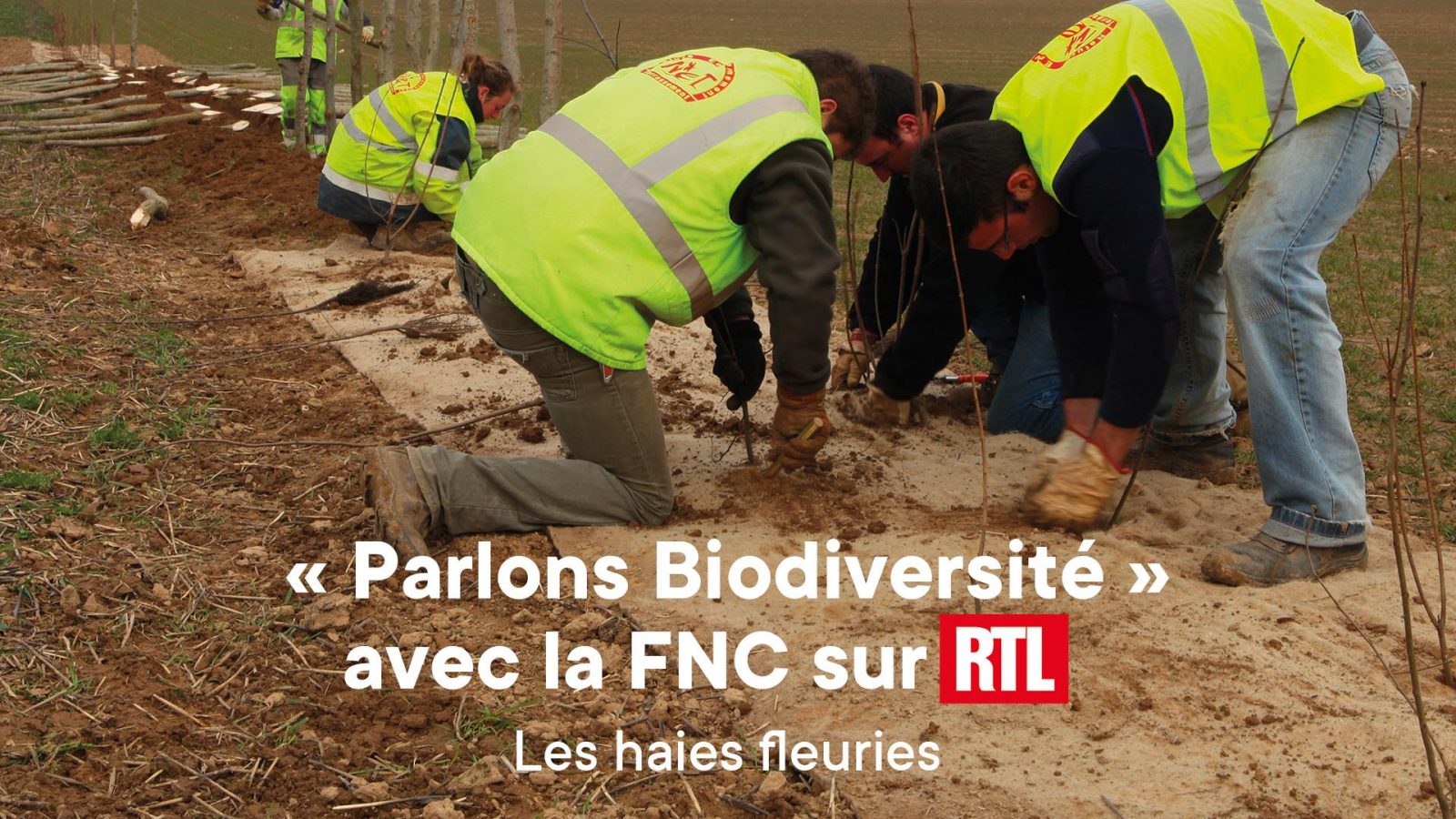 Chronique RTL, Plantation de haies