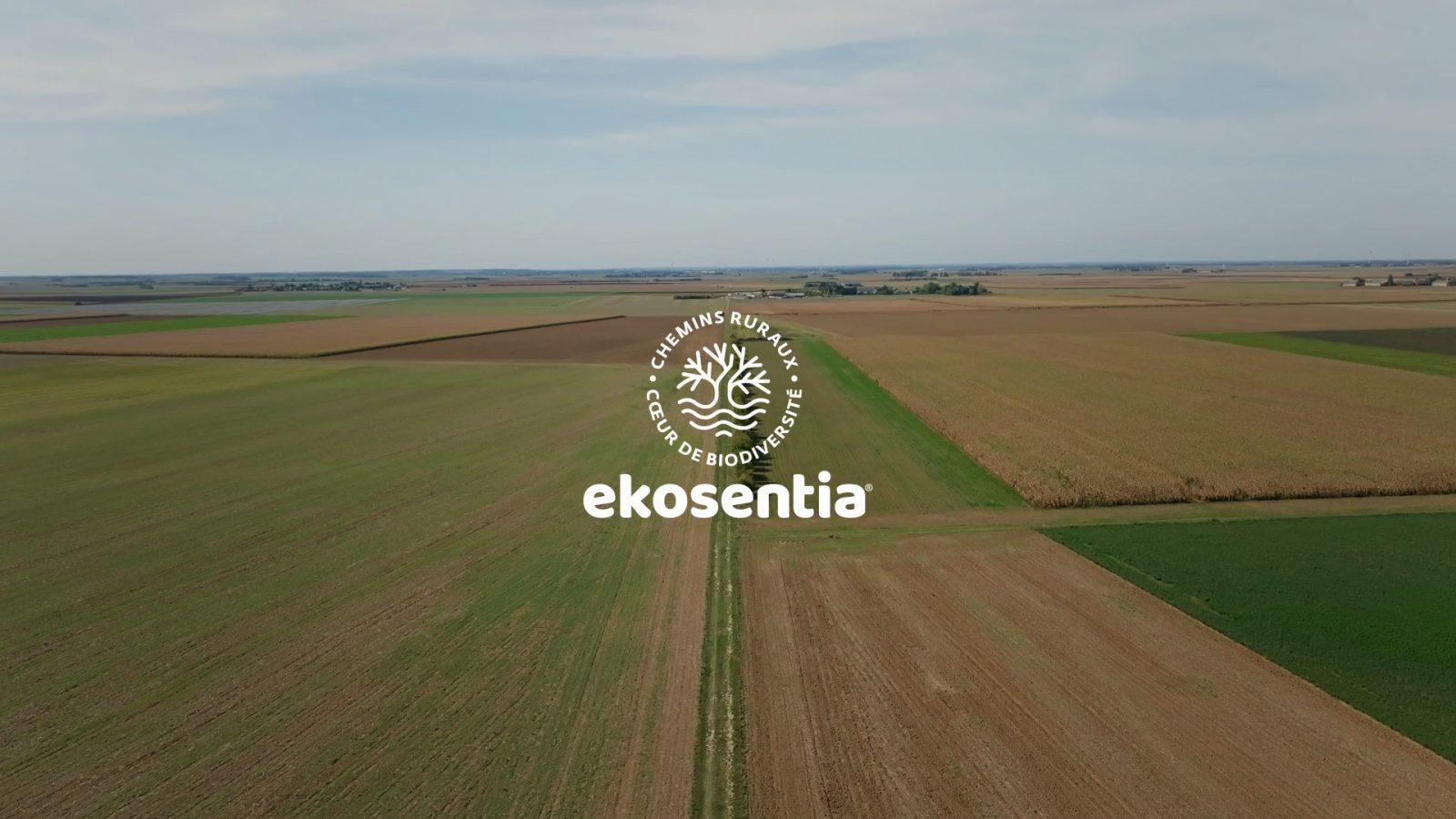 Projet Ekosentia
